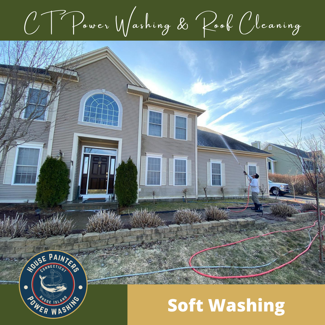 Soft Washing